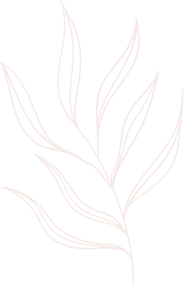 Elements line drawing leaves illustrations and art brushes 7UJ4G2S.png