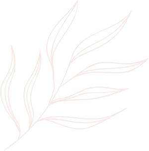 Elements line drawing leaves illustrations and art brushes 7UJ4G2S 2.png