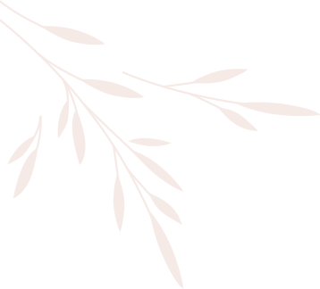 Elements set of natural and floral elements G9XCU6B.png